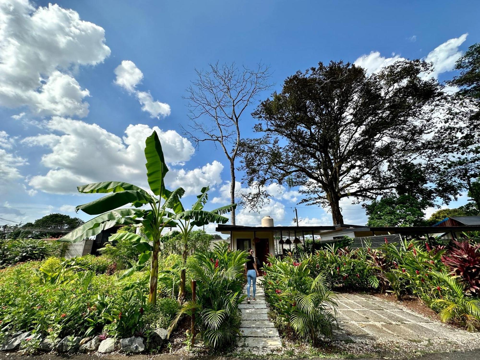 Almendros Eco-Villas La Fortuna Kültér fotó