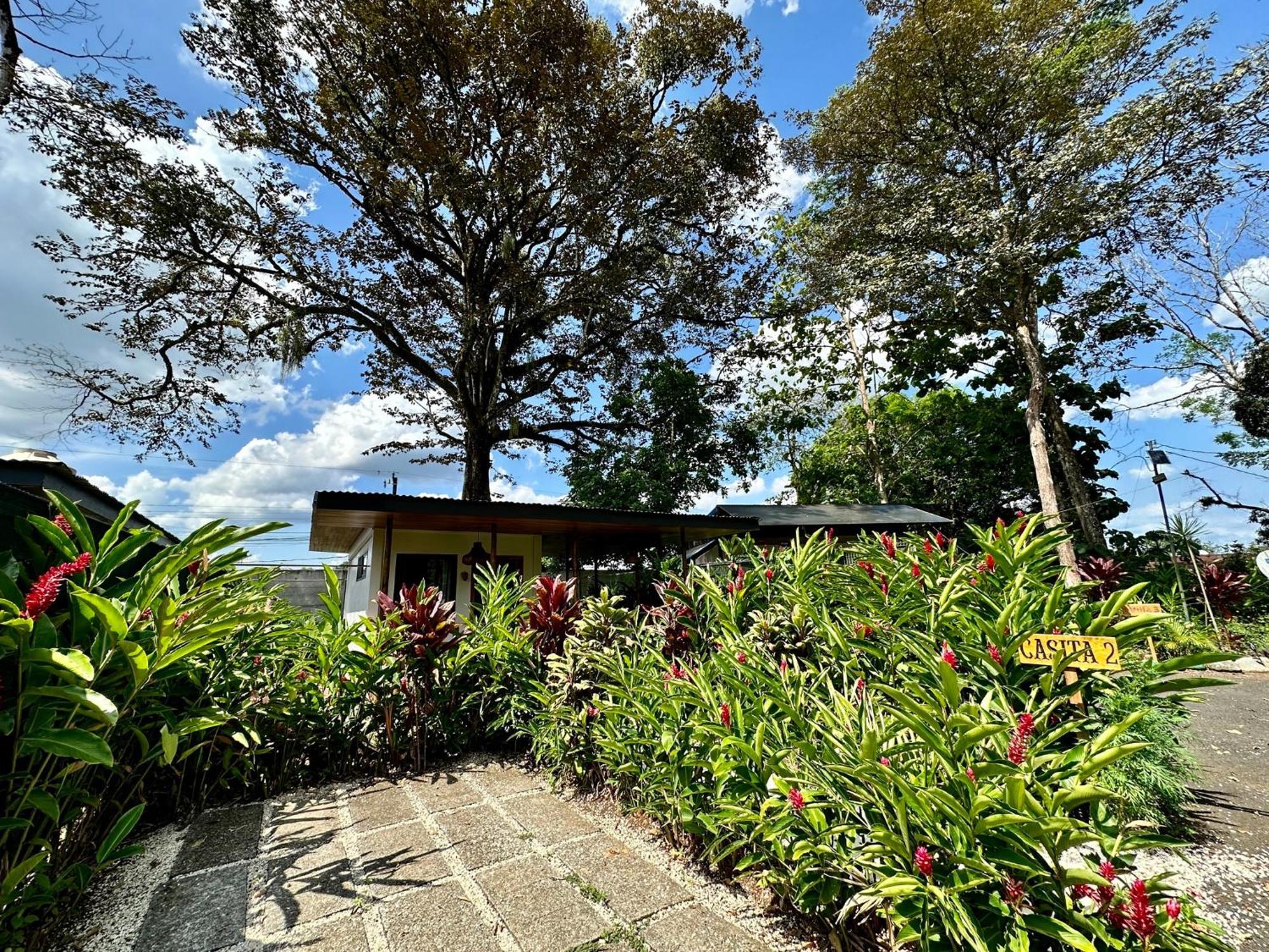 Almendros Eco-Villas La Fortuna Kültér fotó