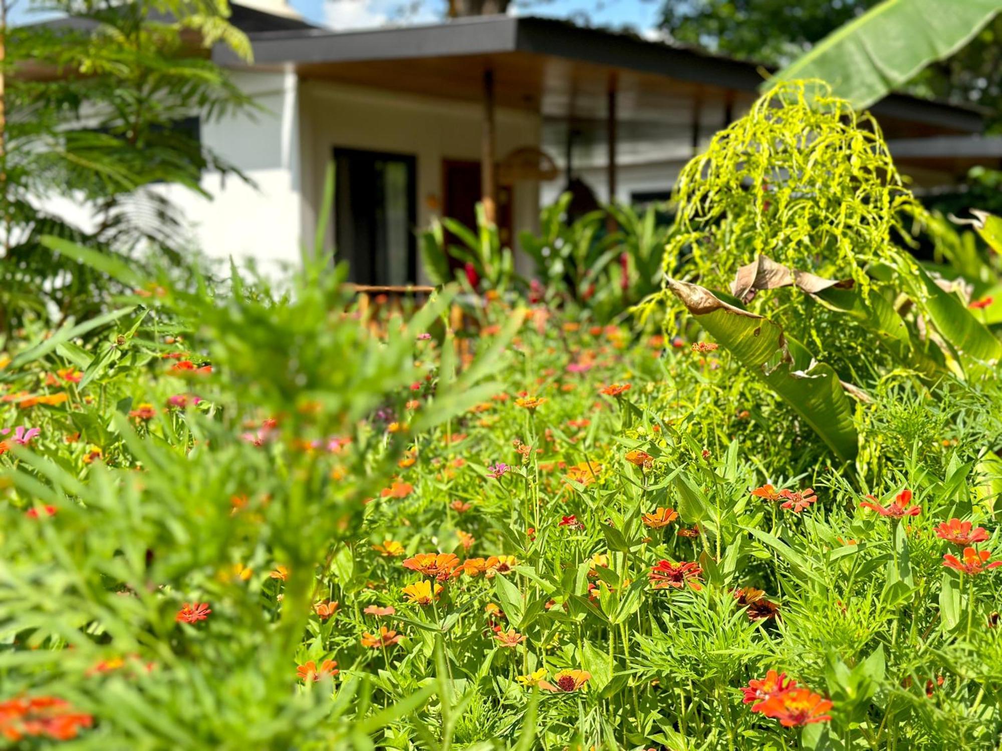 Almendros Eco-Villas La Fortuna Kültér fotó