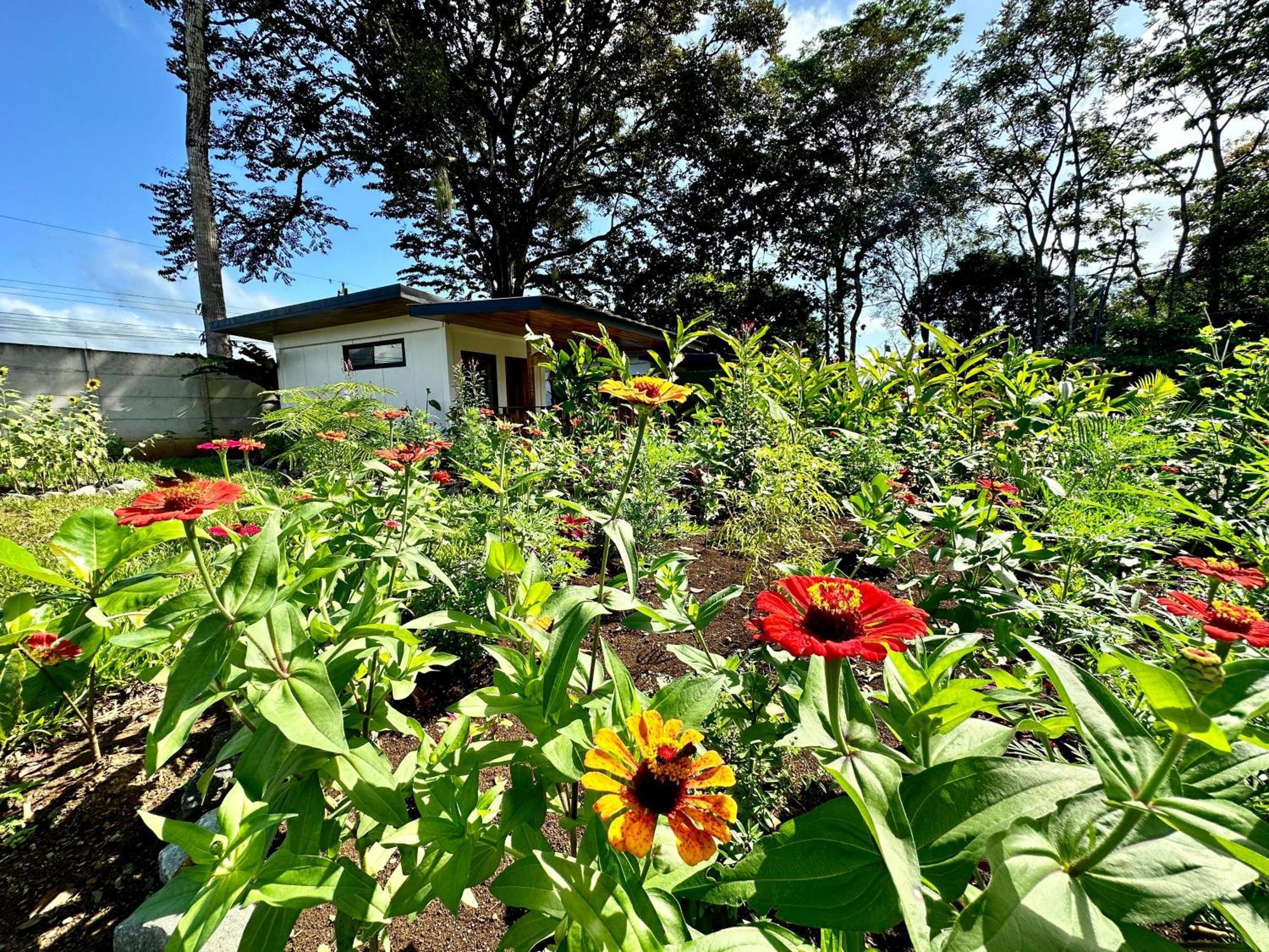 Almendros Eco-Villas La Fortuna Kültér fotó